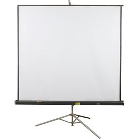 PROJECTION SCREEN